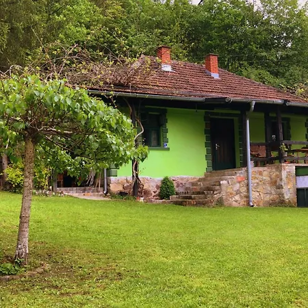 Vakantiehuis Etno-kuca 